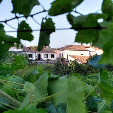 Casa Vacanze Etna Piedimonte Etneo Exterior foto