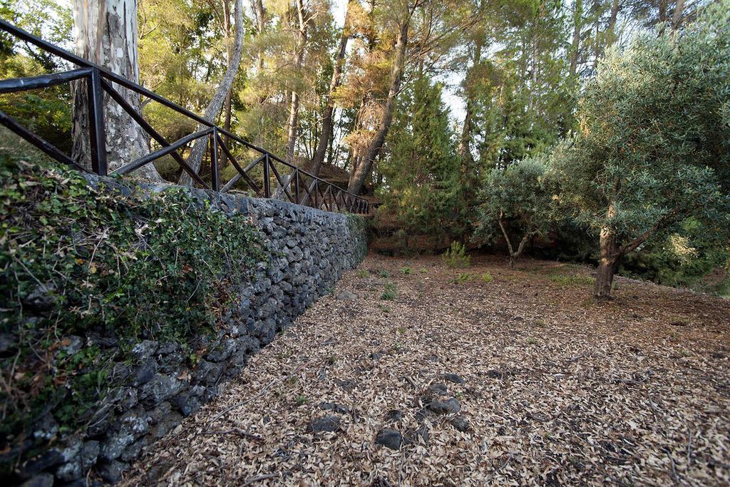 Casa Vacanze Etna Piedimonte Etneo Exterior foto